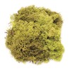 Glorex 6 3803 605 Iceland Moss, 50 g, Light Green,