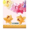 10 Pieces Blooming Lotus Embroidered Applique Orchid Flower Iron on