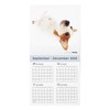 THE DOG 2026 Wall Calendar Large Size [Jack Russell Terrier]