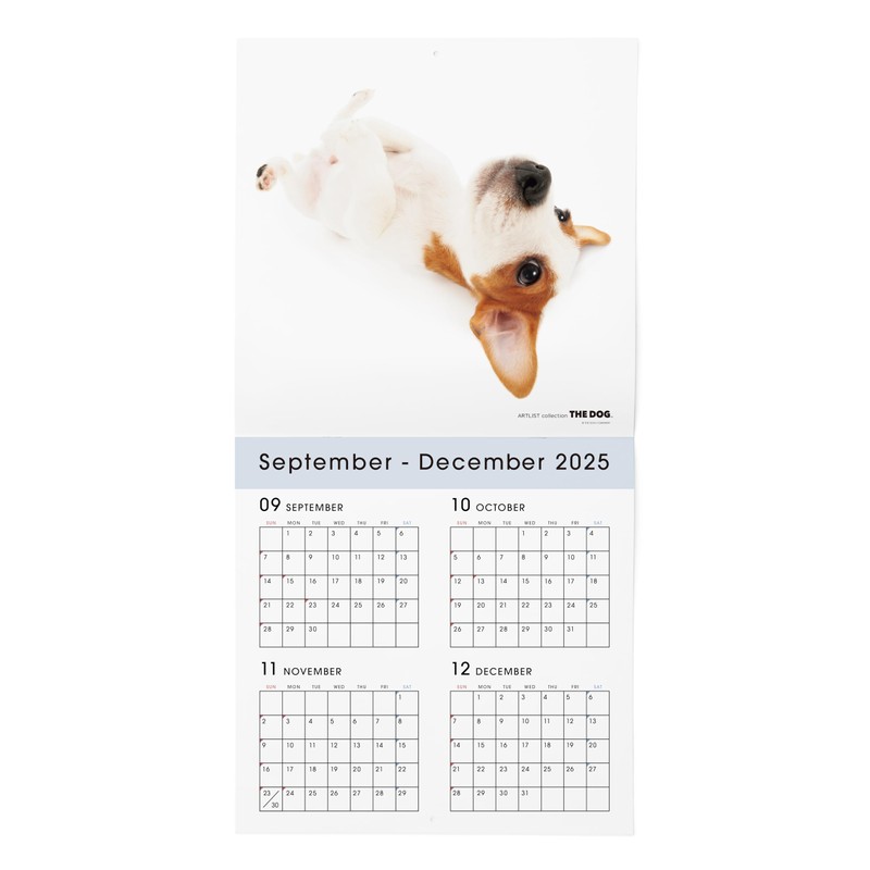 THE DOG 2026 Wall Calendar Large Size [Jack Russell Terrier]