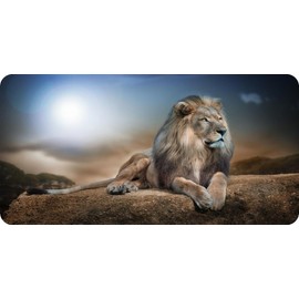 Lion Resting On Rock Photo License Plate