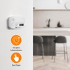 Smartwares FGA-13042 Carbon Monoxide Detector with Display and LED Indicators