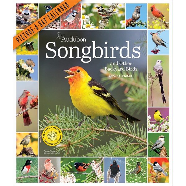 Audubon Songbirds and Other Backyard Birds Picture-A-Day Wall Calendar 2024: