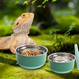 FlidRunest 2 Pack Reptile Cricket Calcium Mixer, Cricket Nutrients Calcium Shaker, Stainless Steel Insect Feeder for Gecko, Chameleon, Lizard, Snake