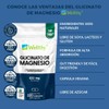Wellthy Glicinato de Magnesio – 220 Cápsulas Veganas de 432mg