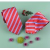 Business to Business Red & Light Blue Formal Business Striped