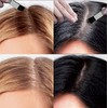 LDN Professional Root Touch Up Kit - No.1 Salon Root