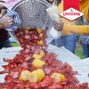 Louisiana Fish Fry Products Crawfish, Shrimp & Crab Concentrated Liquid