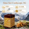 Sino-Sci Cordyceps 3G Capsule, Energy Booster & Immune Support, Pure