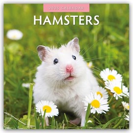 Hamsters - Hamster 2025 - 16 Month Calendar: Original Red Robin Publishing Ltd Calendar [Multilingual] [Calendar] (Wall Calendar)
