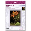 RIOLIS Counted Cross Stitch Kit 6"X8.25"-Lily And Lime (14 Count)