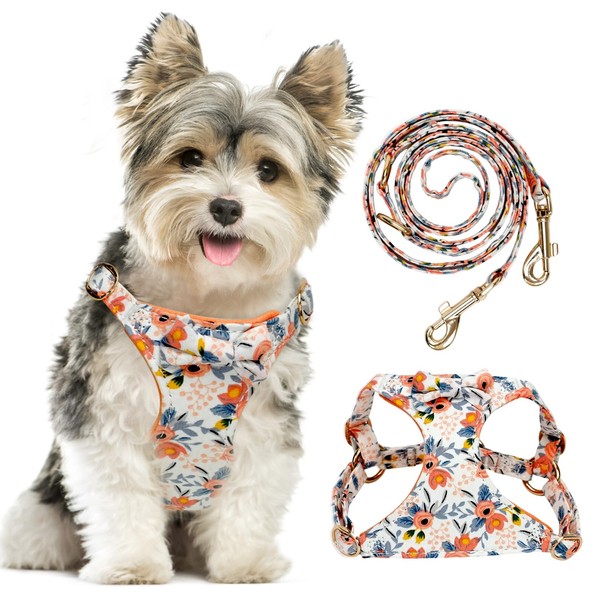 TEWIWAP Dog Harness with Leash Soft Lightweight Floral Puppy Harnesses