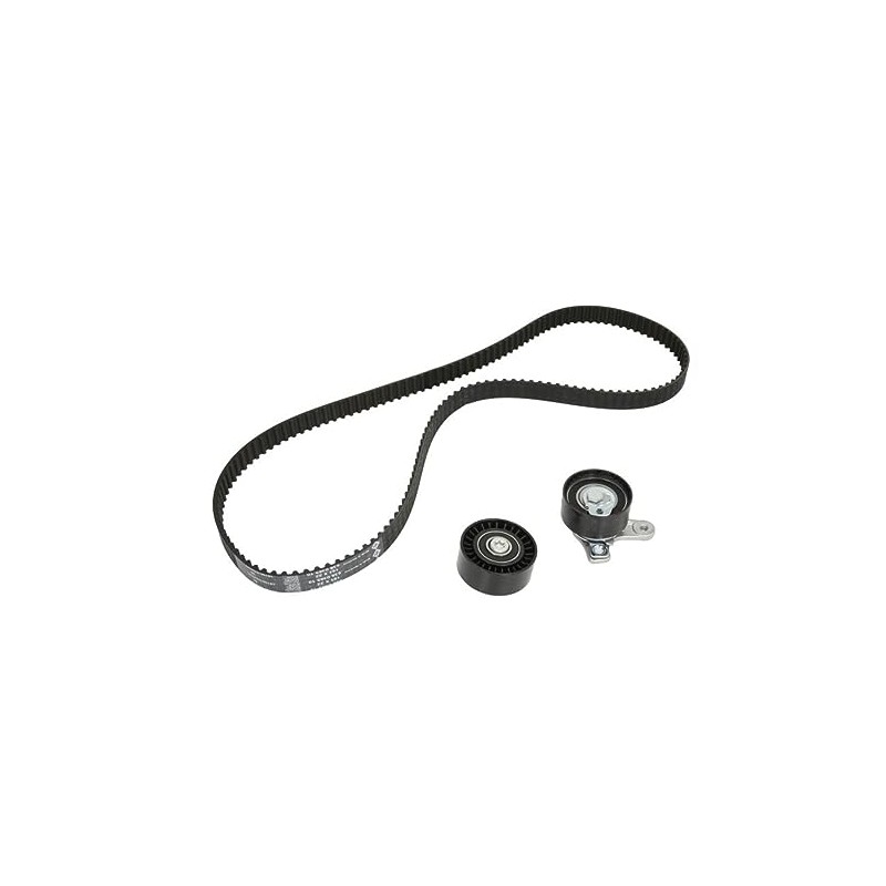 INA 530 0572 10 Timing Belt Kit