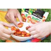 Snak Club Tajin Seasoned Candy Peach Rings Resealable 5 ounce