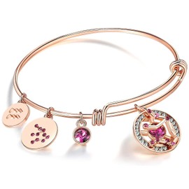 Leafael Superstar Aquarius Zodiac Expandable Bangle Bracelet Made with Premium Crystals Horoscope Constellation Janurary Feburary Birthstone Jewelry, Rose Gold Plated, 7"