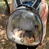 Guinea Pig Backpack Carrier, Bearded Dragon Carrier Backpack with Clear