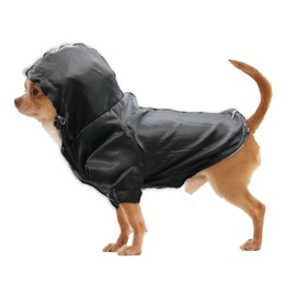 Puppy Dog Raincoats for Small Dogs Waterproof Puppy Raincoat Pet Lightweight Rain Jacket for Small Dogs