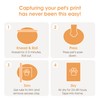 Pearhead Pet Paw Print Photo Frame With Clay Imprint Kit