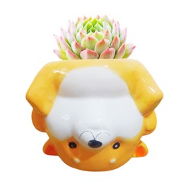 Cuteforyou Succulent Planters,Cute Handstand Animal Shaped Ceramic Succulent Cactus Flower Pot,Pencil Holders,Desk Accessories, Makeup Brush Storage Stand (Orange Dog)