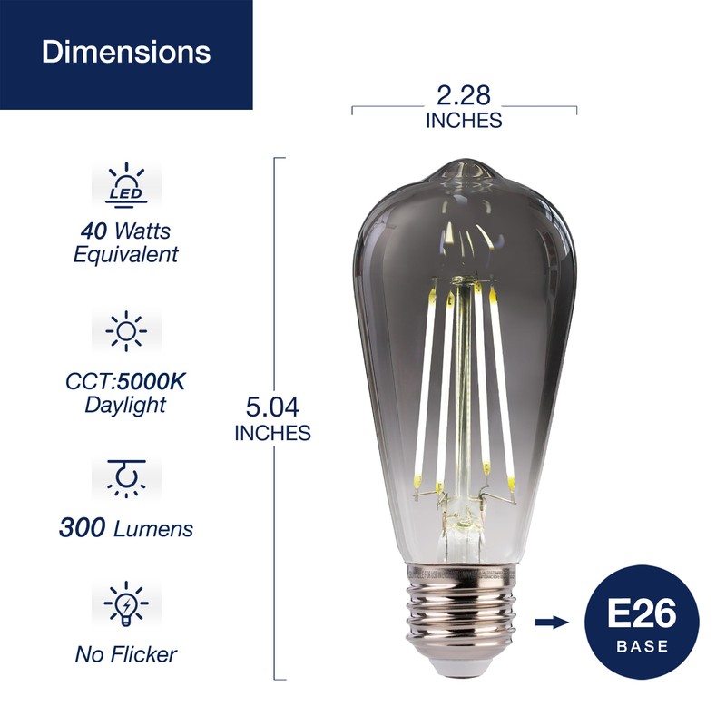 FLSNT LED Edison Bulbs, 5000K White Light Dimmable ST19 LED