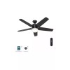 Hunter 52 in Cavera Matte Black Ceiling Fan Light Kit
