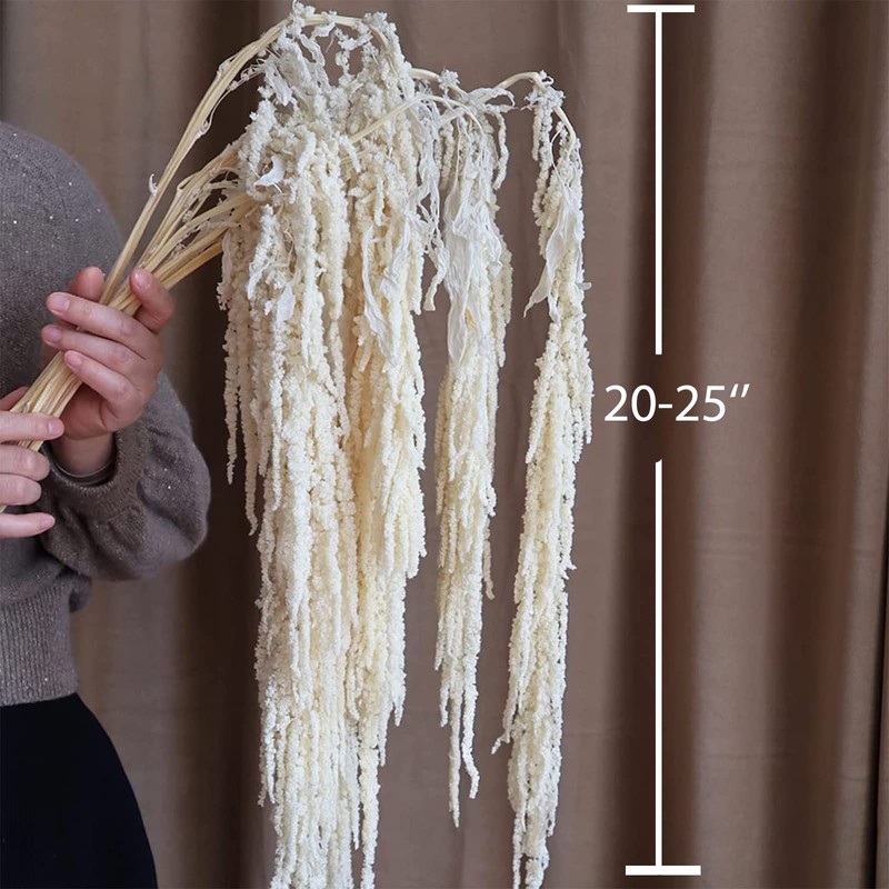 5 Pcs Cream White Hanging Amaranthus, 23" Preserved Cascading Flowers