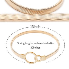 6Pack Curtain Tiebacks Aluminum Alloy Spring Design Curtain Holdback Leaf Carving Design Curtain Ties for Drapes Curtain Ties Backs Curtain Modern Style Curtain Holdback Decor(Gold Ring)