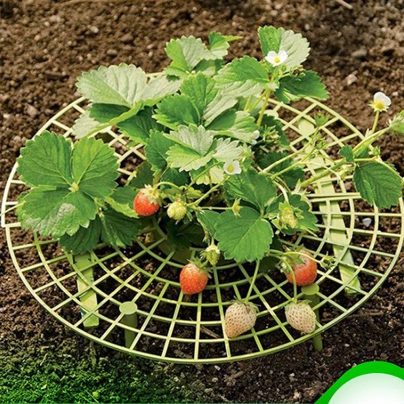 Namvo 6Pcs Strawberry Frame Stand, Plant Support Holder Planting Rack