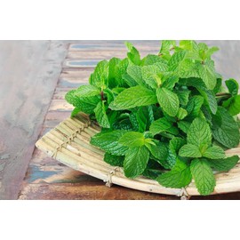 NIKA SEEDS - Seeds Herb Medicinal Peppermint (Mint) - 1000 Seeds