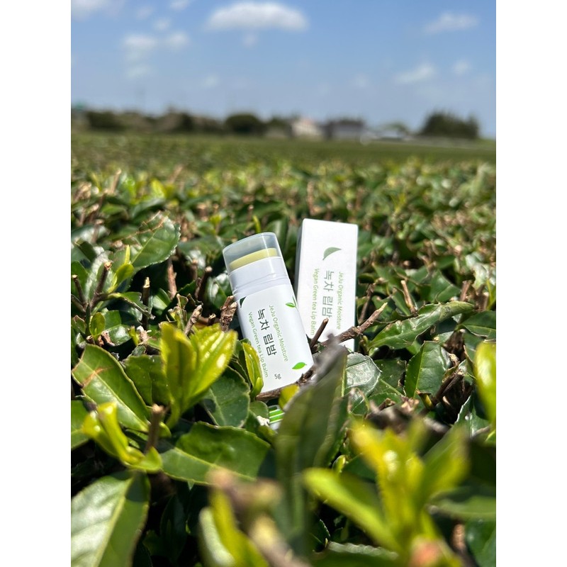 Vegan Cooling Green Tea Lip Balm - Green Tea Lip