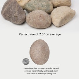 10 lbs Large Natural River Stones 2-3Inch Unpolished, Washed Pebbles for Landscaping, Garden Paths, and Aquariums. Perfect as Decorative Aquarium Rocks, Garden Stones