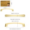 Amerdeco 10 Pack Brushed Gold Cabinet Pulls 4 Inch(102MM) Hole