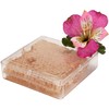 Pioneer Plastics 091C Clear Square Plastic Container, 4.3125" W x