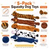 5 pieces No-Stuffing Dog Squeaky Toy for Interactive Play –