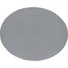 TRUSCO SMB-1-05MARU Stainless Steel Disk, Diameter 2.0 x Thickness 0.04