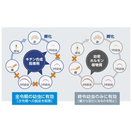 Midi Effervescent Tablets 1% 1 Tablet x 50 Packs