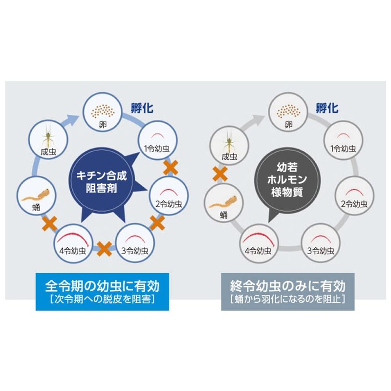 Midi Effervescent Tablets 1% 1 Tablet x 50 Packs