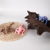 3D Printed Cat Animal Toys,12 Inches Hairless Kitty Articulated Flexible