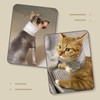 MANON ROSA Cat Neck Brace Elizabethan Collar for Pet After