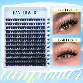 Fluffy Lash Clusters 100D Thick Eyelash Clusters D Curl Volume Cluster Eyelash Extensions 10-16mm Individual Lashes 204pcs Lash Extension by Lanflower