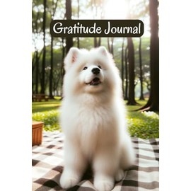 Gratitude Journal