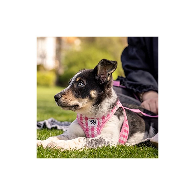 Vest Harness Curli Clasp Air Mesh Pink-Chequered 2XS & Leash