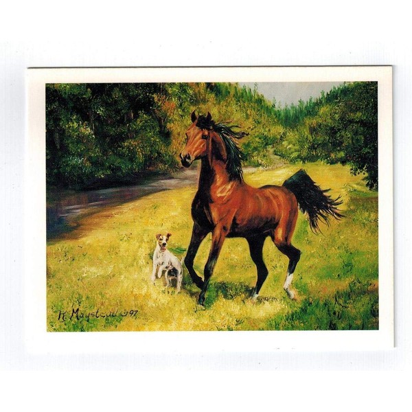 Jack Russell Pet Dog & Brown Horse in Forest Note Card set - 12 Notecards By Ruth Maystead