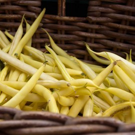 Goldrush Wax Bush Beans - 1 Lb ~1,440 Seeds - Non-GMO, Heirloom - Vegetable Garden Seeds - Gold Rush