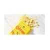 Colman's Dry Mustard Powder, 16 Ounce