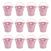12pcs Mini Metal Bucket Hollow Heart Shaped Bucket with Handle