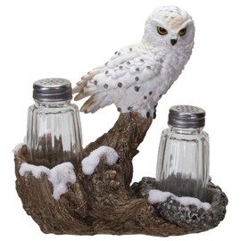 Pacific Giftware Snowy Owl Perching On Tree Branch Spiritual Realistic Decorative Glass Salt and Pepper Shakers Set with Resin Holder