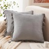 Unbranded 2 Pack Velvet Decorative Throw Pillow Covers for Couch