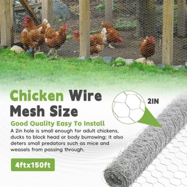 HOSTIC 4FTx150FT Chicken Wire Netting 2IN Mesh Galvanized Wire Hexagonal Fencing for Poultry Garden Fence Barrier