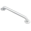 Moen 8736 Home Care Safety 36-Inch Stainless Steel Bathroom Grab